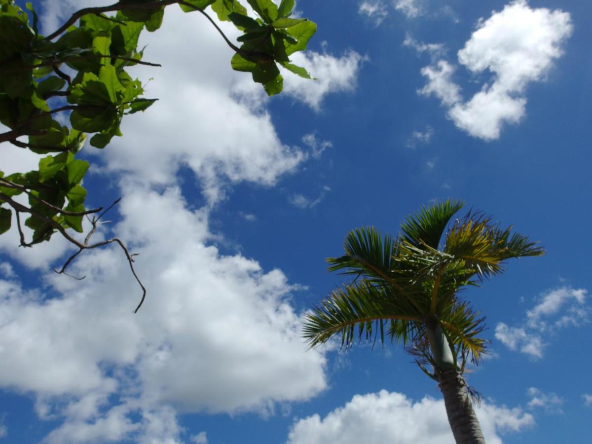 Terrace Resort Chatan West Bagian luar foto